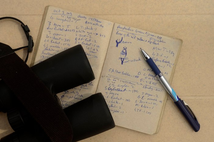 Wonderful most year time